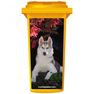 Husky Dog Lying Under A Tree Wheelie Bin Sticker Panel